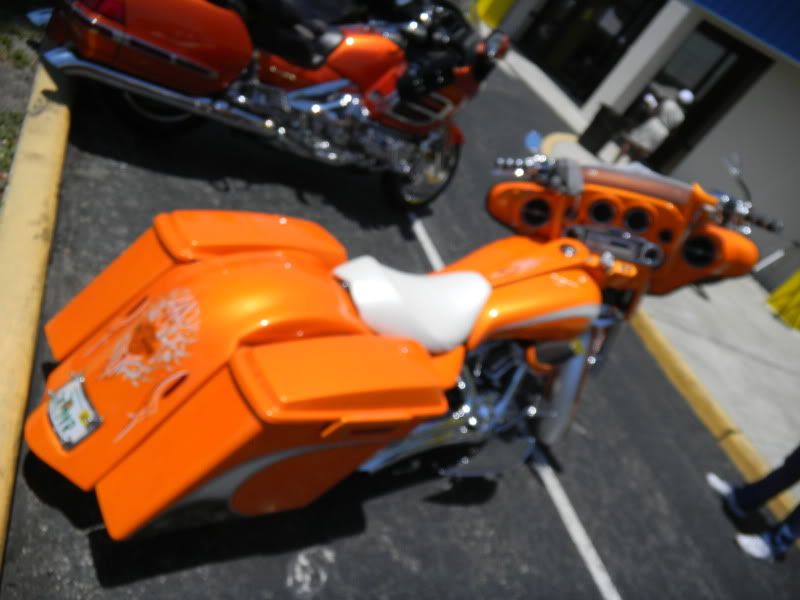 DSCN0278.jpg
