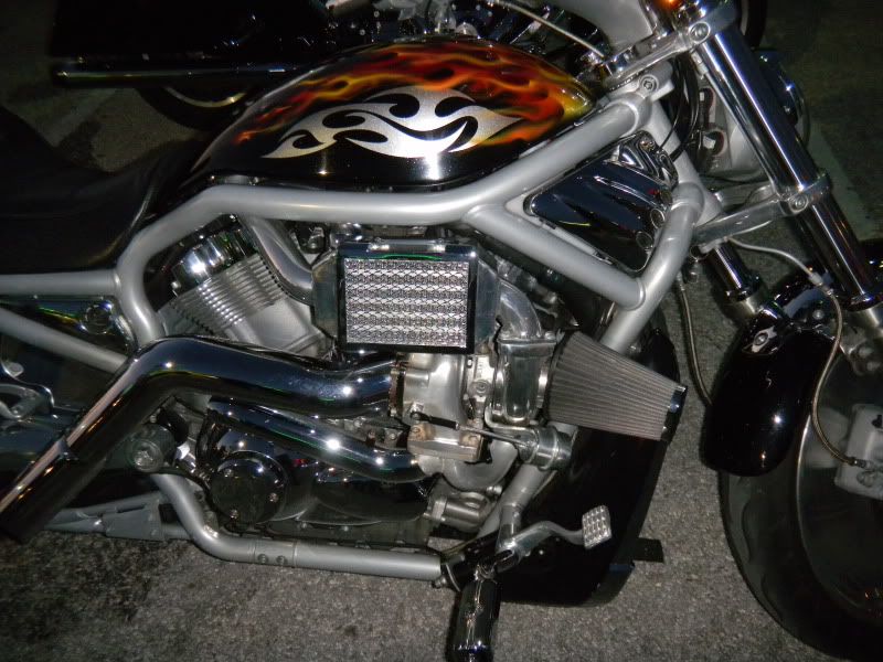 DSCN0353.jpg
