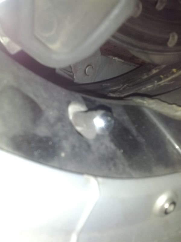 IMG_20120521_164411.jpg