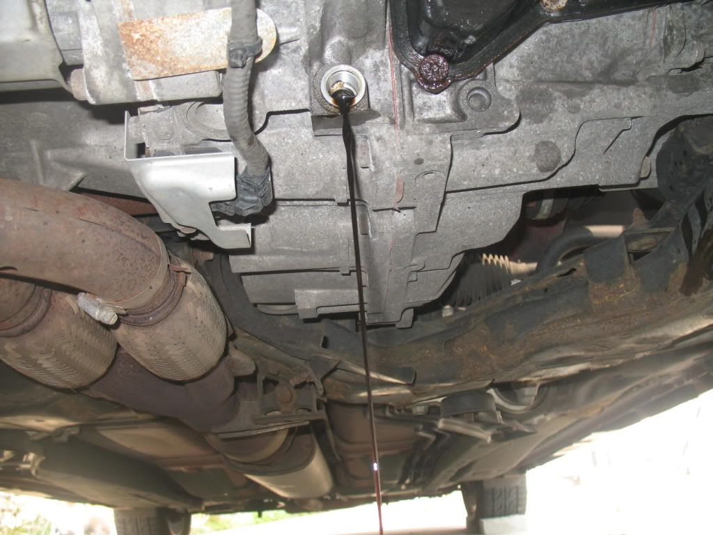 2005 Nissan maxima transmission replacement cost #6