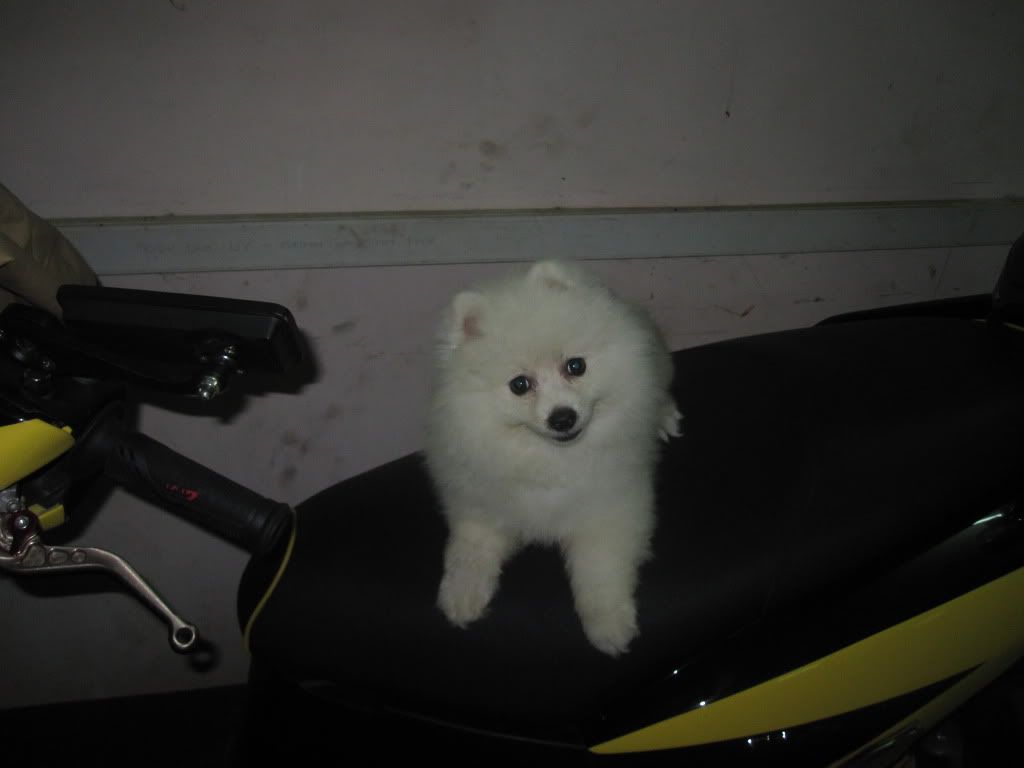 IMG_0332.jpg IMG_0332.jpg