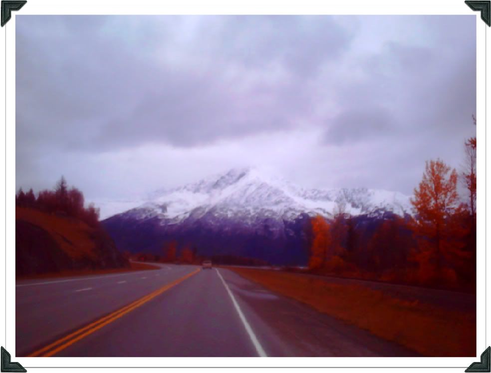 snow on the mountain- by sylky Pictures, Images and Photos