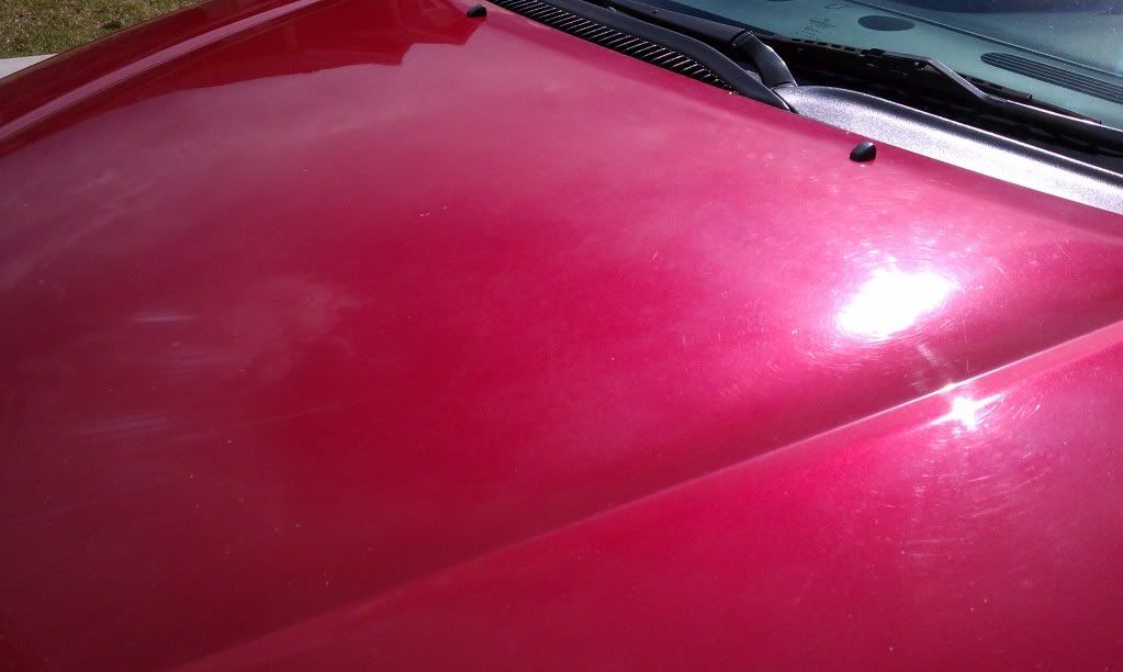 IMAG0249.jpg