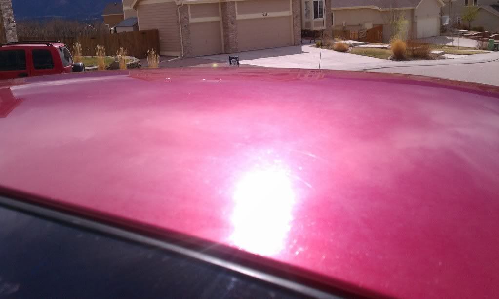 IMAG0252.jpg