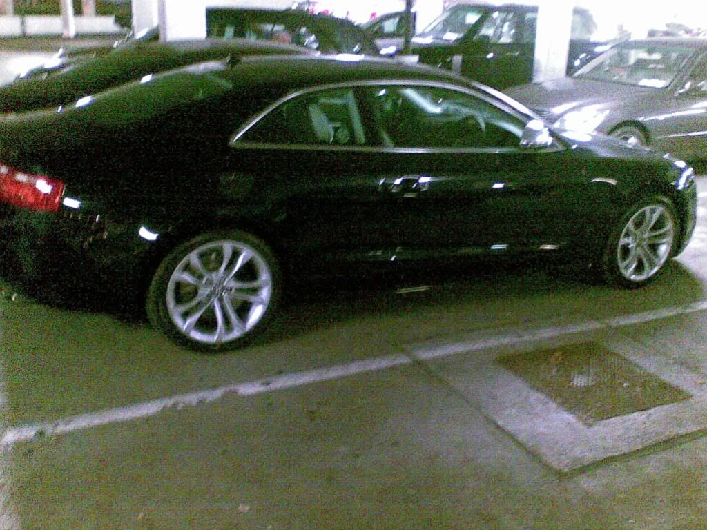 Audis501.jpg