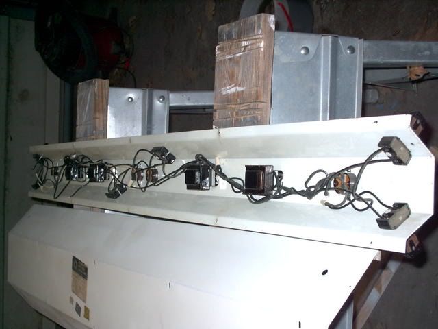 IMAG0010.jpg