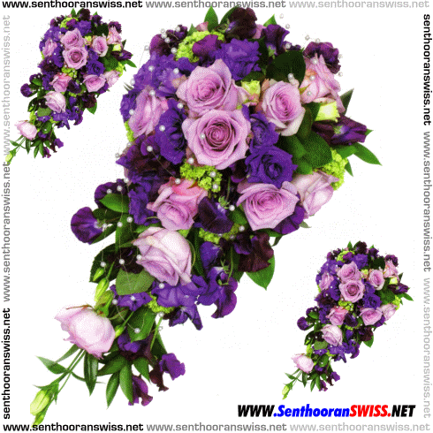 Flower.gif