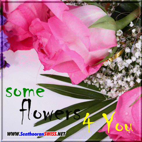 http://i295.photobucket.com/albums/mm139/senthooranswiss/Flower/Flower23.gif