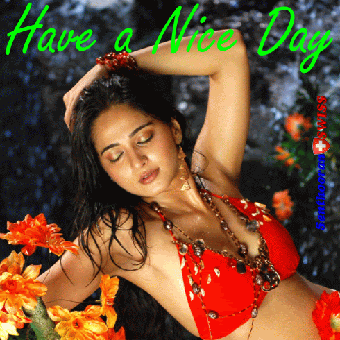 niceday-13.gif