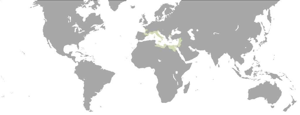 EU3_MAP_PAP_1560811_2.jpg