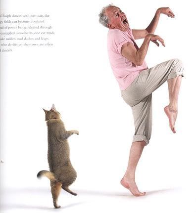 dancing with cats Pictures, Images and Photos
