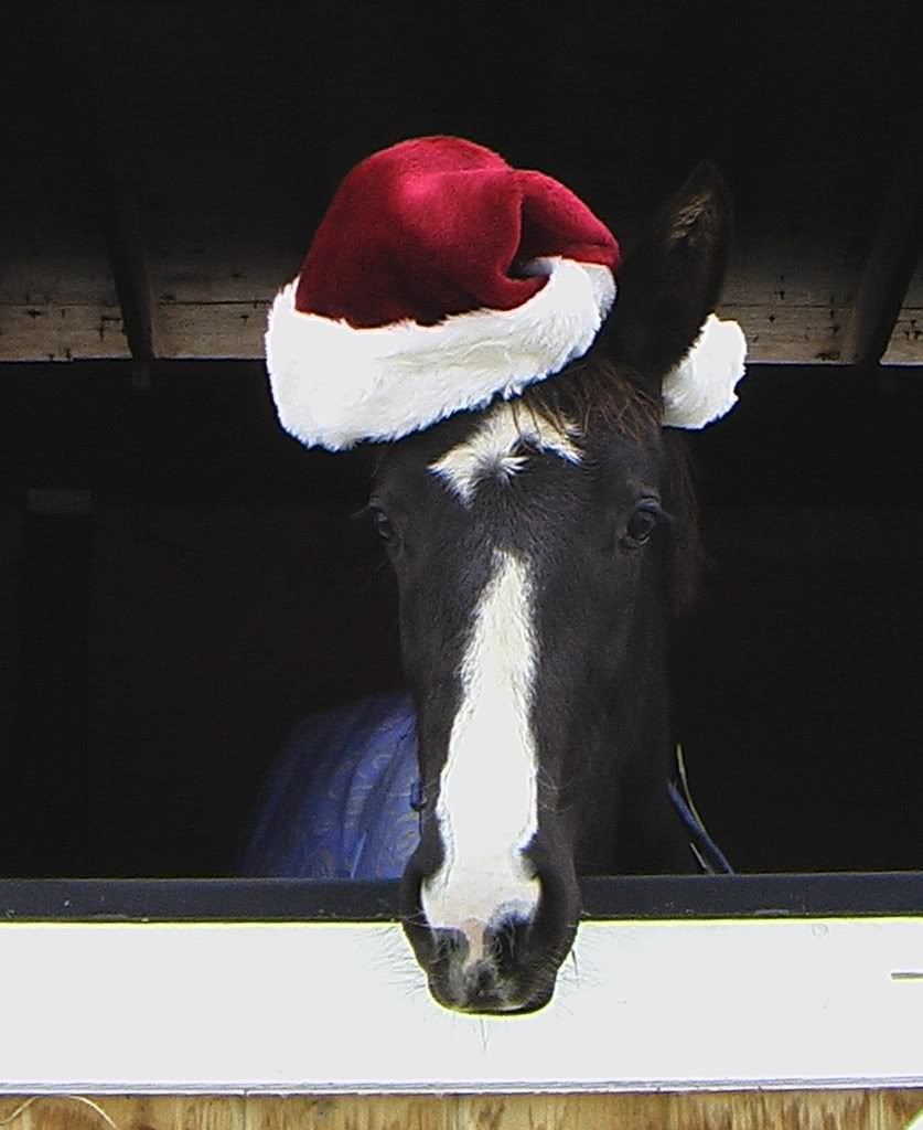 Reminisce HM Wishes Everyone a Very Happy Holidays!