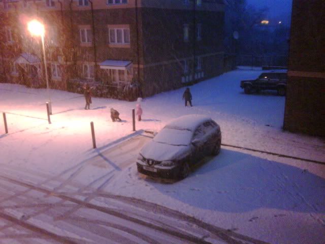 IMG00047-20100106-1629.jpg