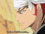 thbleach_funny.gif image by Ghost-In-The-Shell