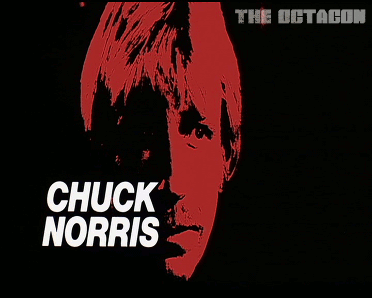 Chuck Norris Octagon