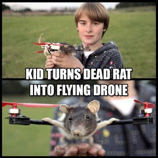 KID_TURNS_DEAD_RAT_INTO_FLYING_DRONE1_zps4tixsciq.jpg