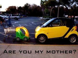 smart_mom_zpszq481sw2.jpg