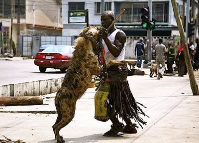 hyena.jpg