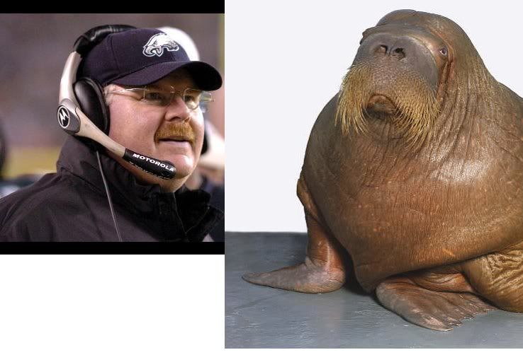 andythewalrus.jpg