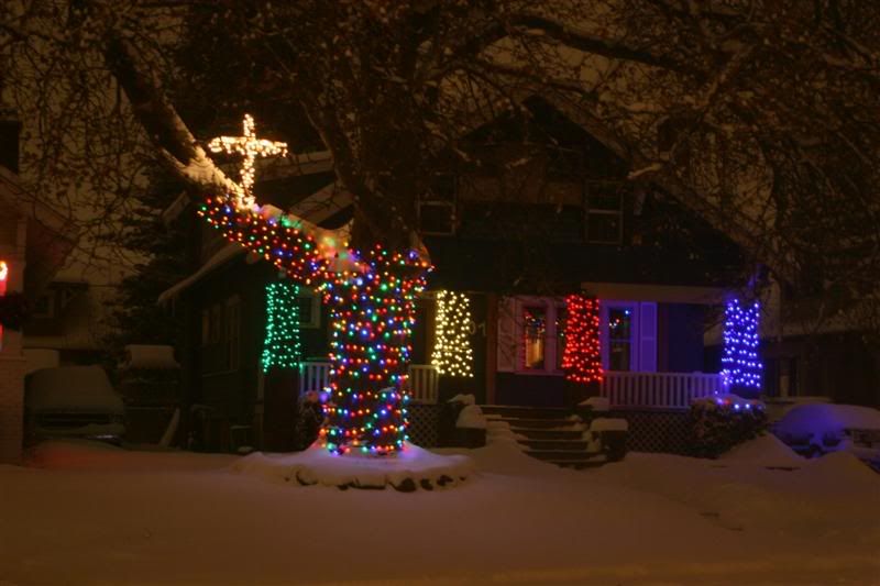 DEC08177Medium.jpg?t=1229812062