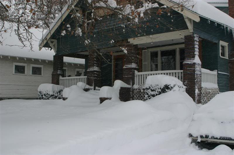 DEC08193Medium.jpg?t=1229812028