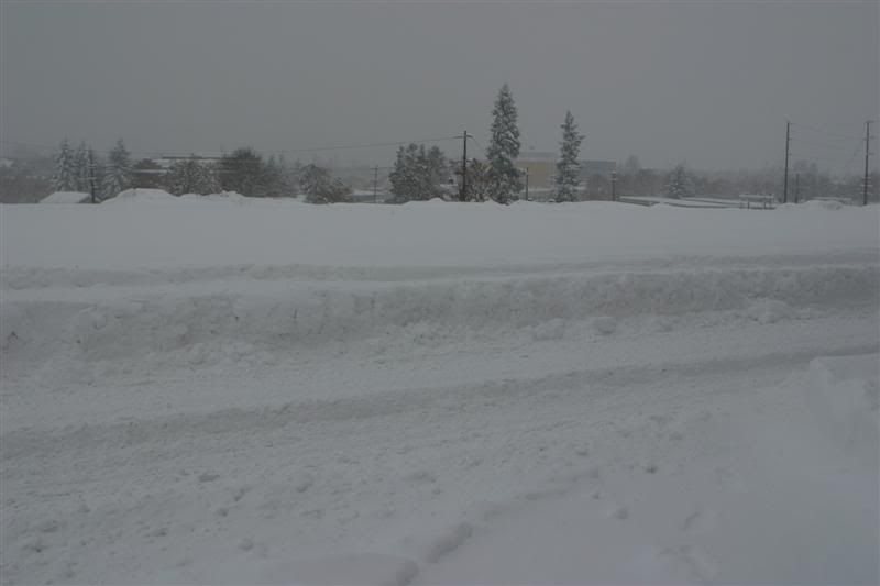 DEC08197Medium.jpg?t=1229812277