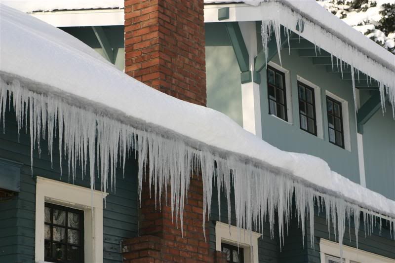 DEC08231Medium.jpg?t=1229813223