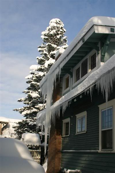 DEC08233Medium.jpg?t=1229813328