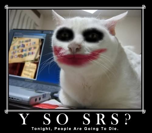 [Image: serious-cat-joker.jpg]