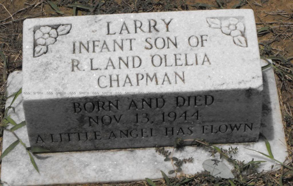 Burials in Rocky Branch Cemetery in Union Parish, Louisiana