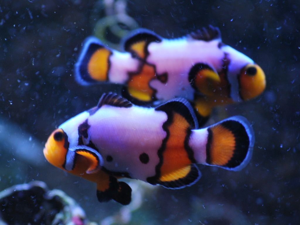 CSC_0014.jpg