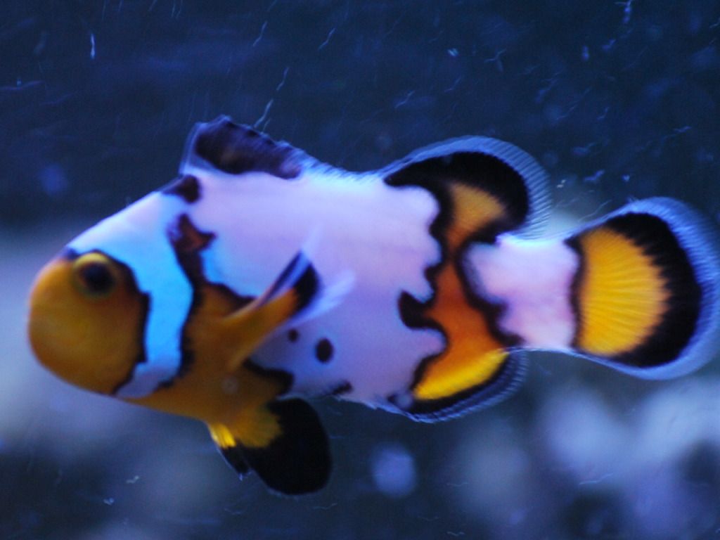 CSC_0015.jpg