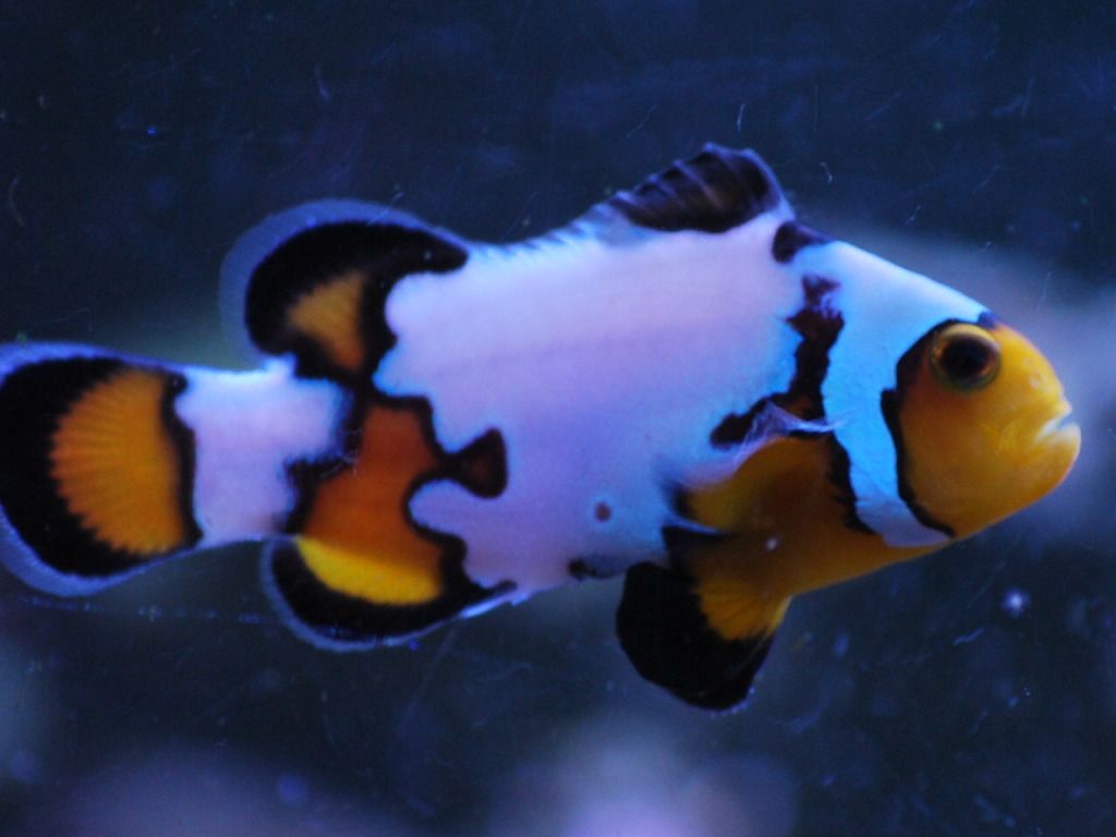 CSC_0016.jpg