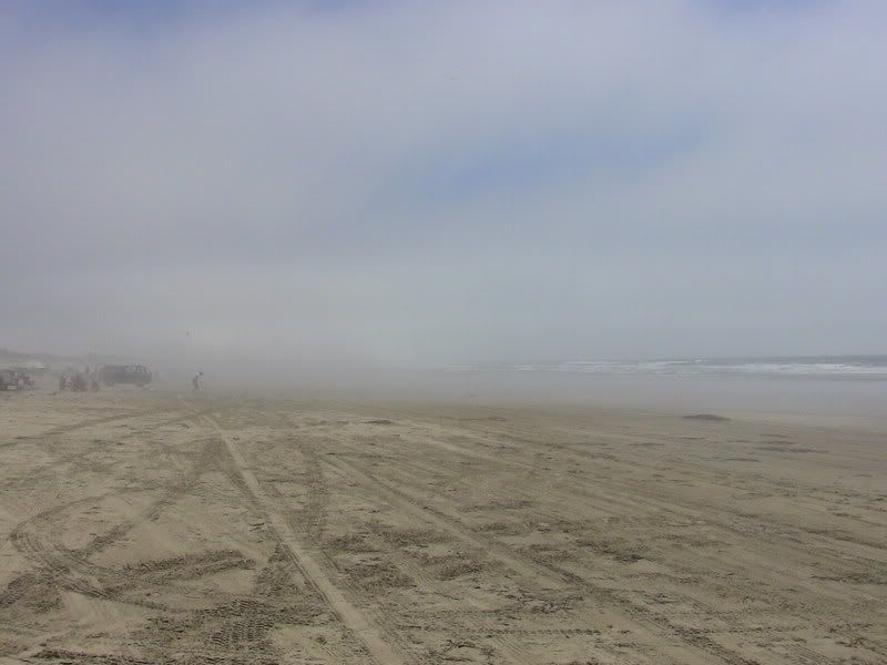 IMG_0132.jpg