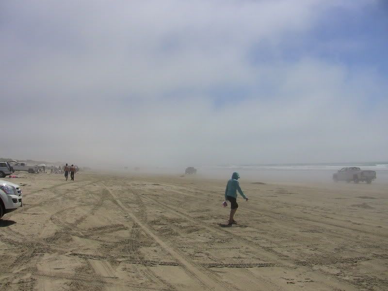 IMG_0133.jpg