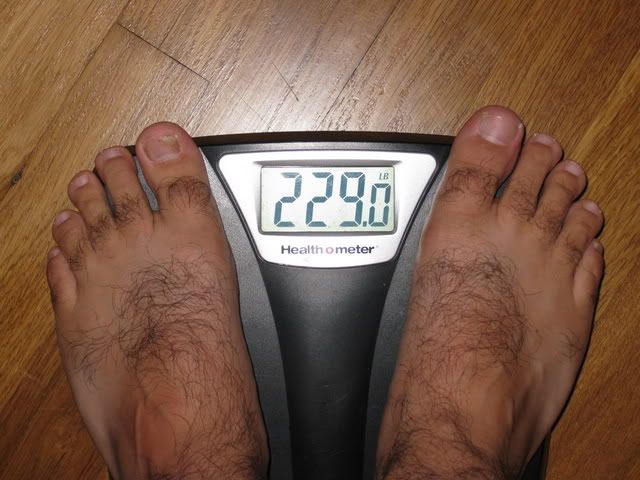229.jpg
