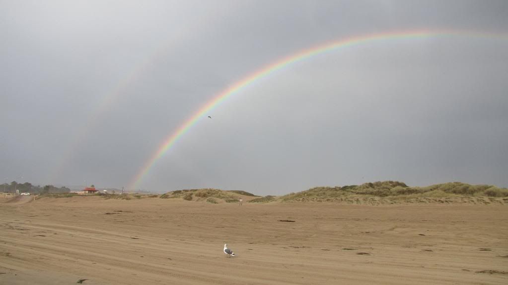rainbows.jpg