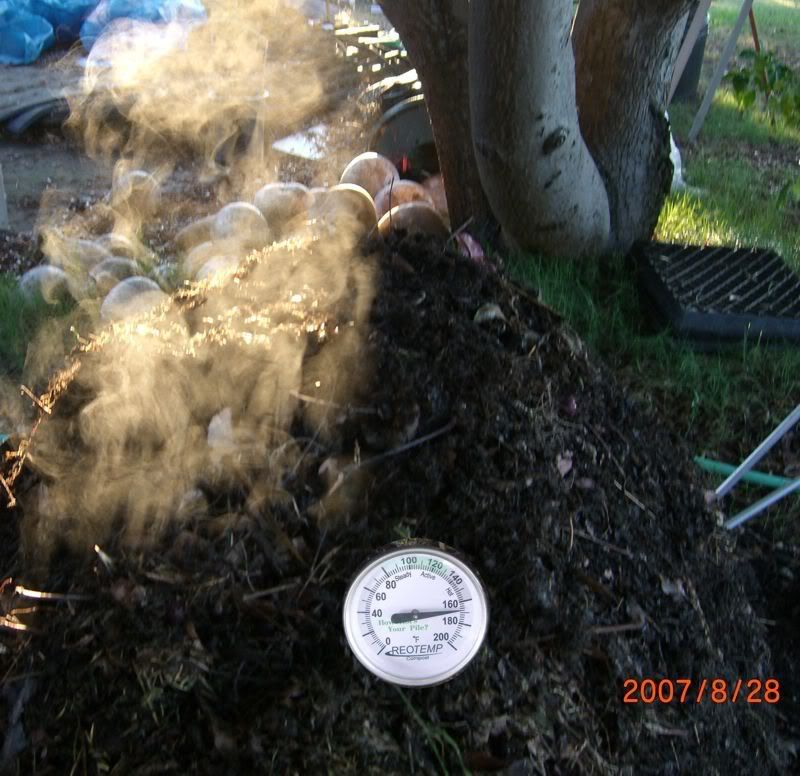 Steaming Compost