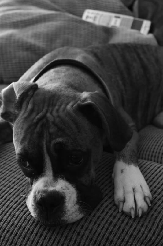 IMAGE: http://i295.photobucket.com/albums/mm152/1cam100pos/IMG_1705.jpg