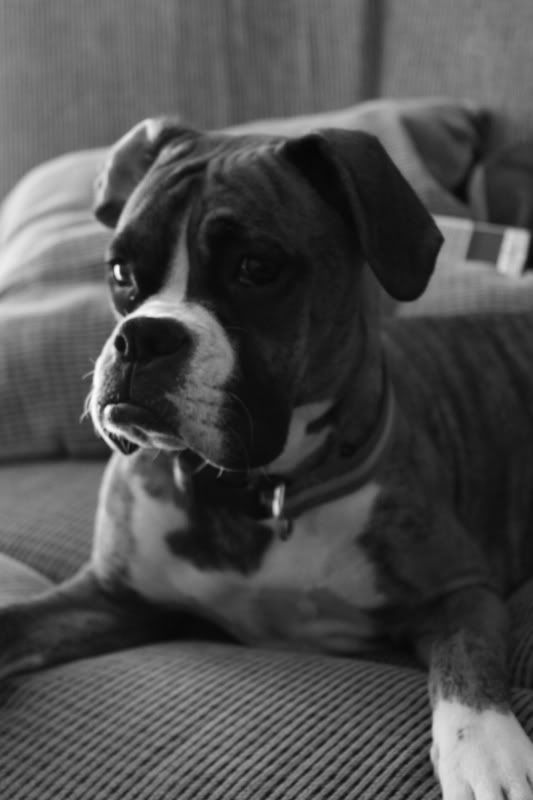 IMAGE: http://i295.photobucket.com/albums/mm152/1cam100pos/IMG_1706.jpg