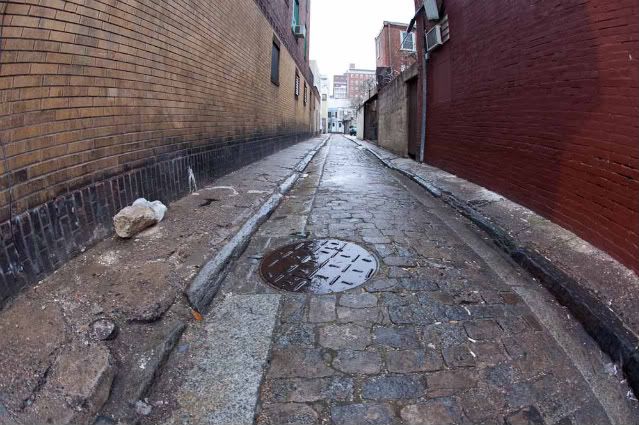 IMAGE: http://i295.photobucket.com/albums/mm153/lastrandy/_MG_0137_POTN.jpg