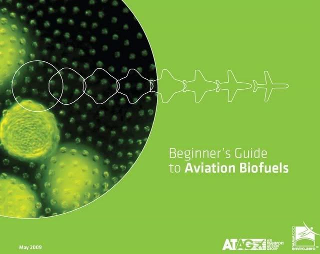 beginner's-guide-to-aviation-biofuel