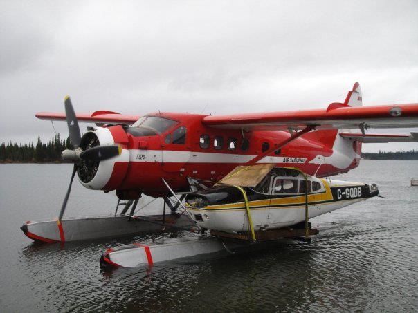 Beaver con Cessna