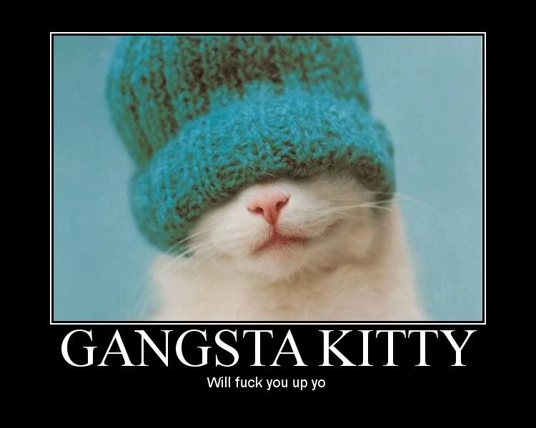 gangstakitty.jpg