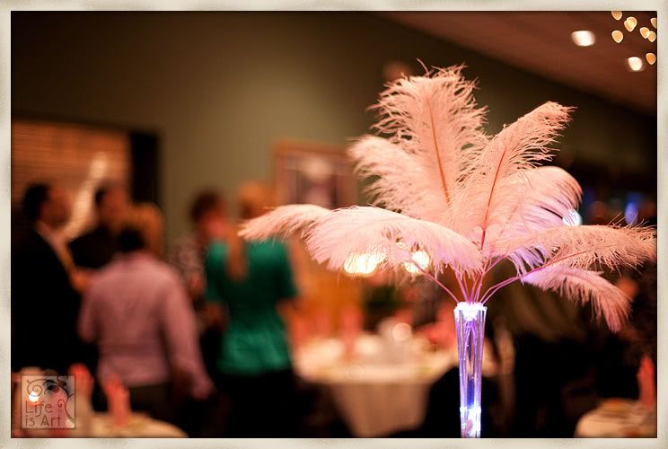 The tables were adorned with these beautiful feather centerpieces