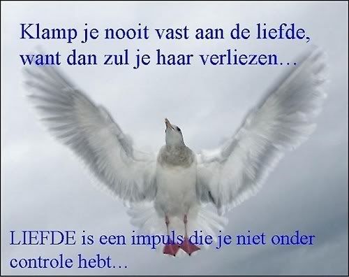 Htekst4.jpg liefde image by double_u_w