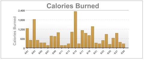 calories_burned_aug_2010.jpg