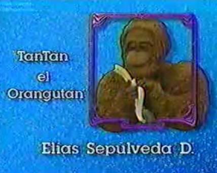 c3.jpg