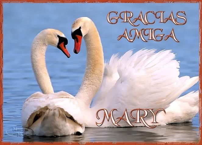 graciasmary.jpg picture by marysa_08_album