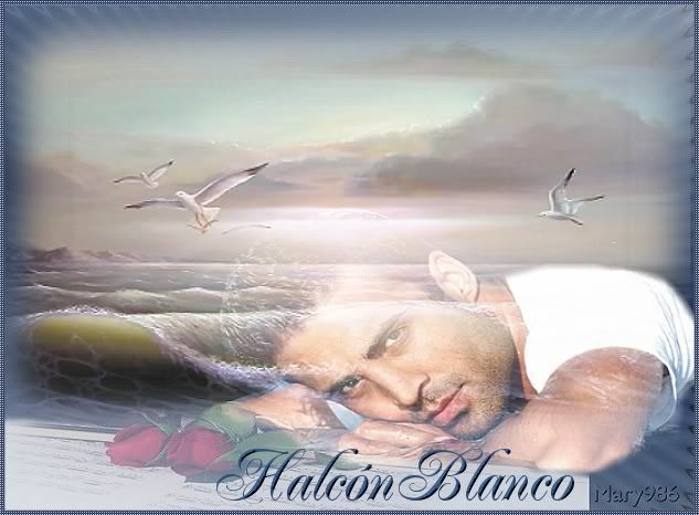 HalcnBlanco.jpg picture by marysa_08_album